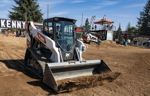 bobcat in action